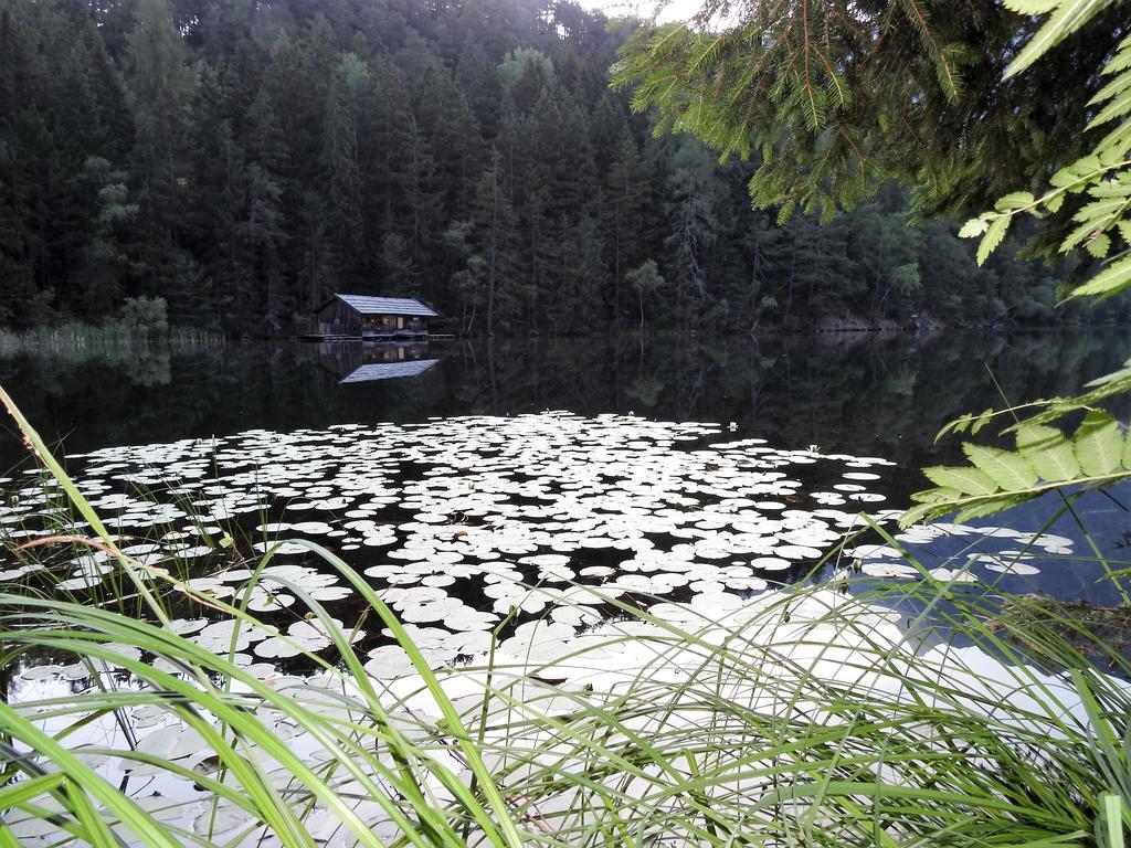 Gasthof Piburger See Hotel Oetz Eksteriør billede